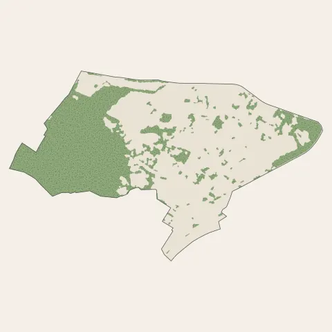 Le Ban-Saint-Martin : bois, forêts et landes