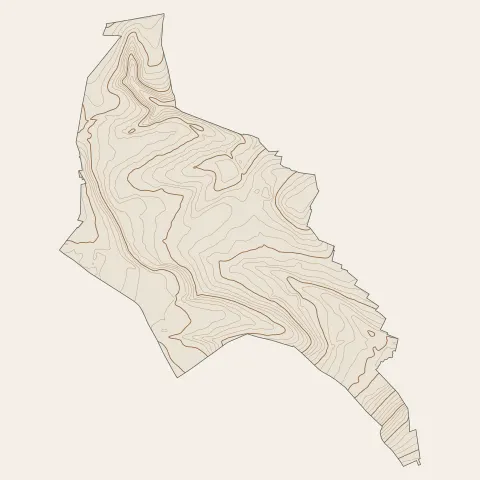 Behren-lès-Forbach : courbes de niveau