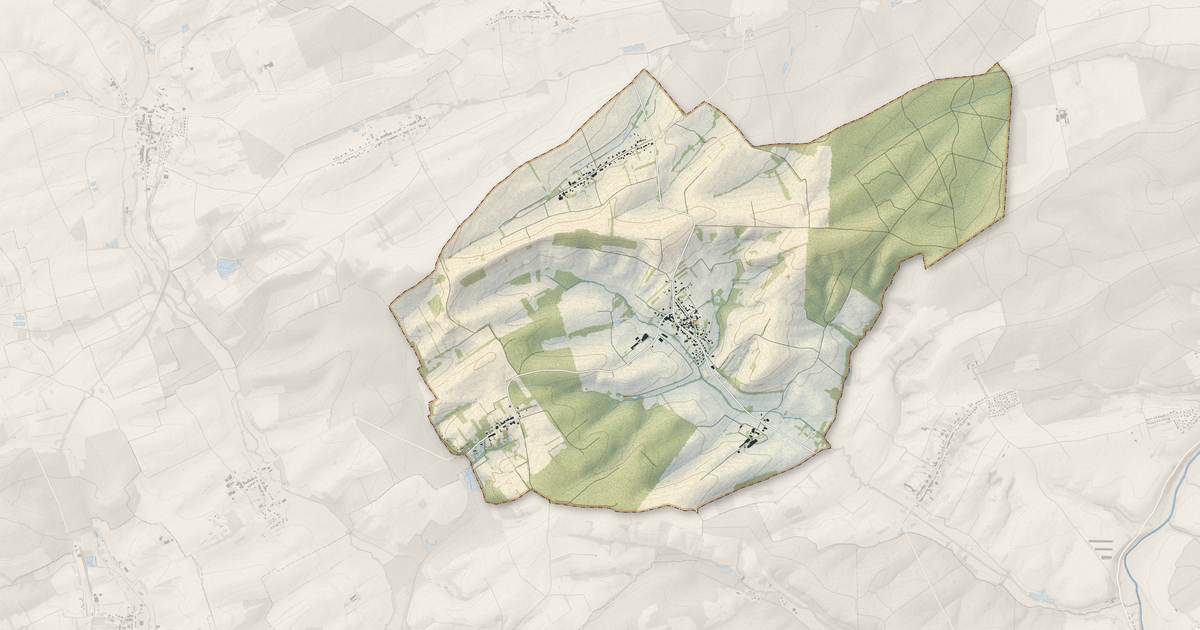 Portrait cartographique de Bibiche : relief, eau, forêts, bâti et voies, calculés à partir des données de l'IGN
