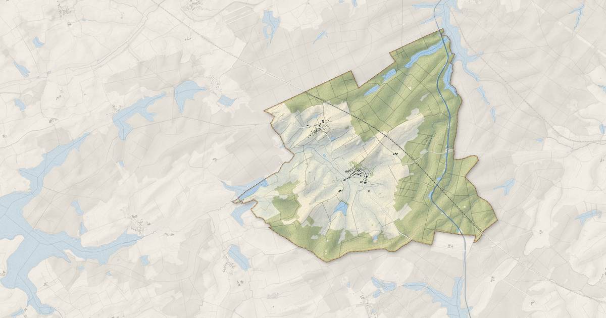 Portrait cartographique de Belles-Forêts : relief, eau, forêts, bâti et voies, calculés à partir des données de l'IGN