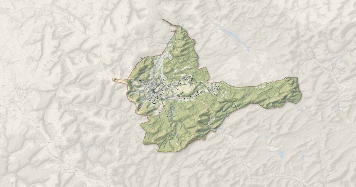 Portrait cartographique de Bitche : relief, eau, forêts, bâti et voies, calculés à partir des données de l'IGN