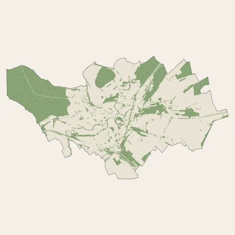 Bouzonville : bois, forêts et landes