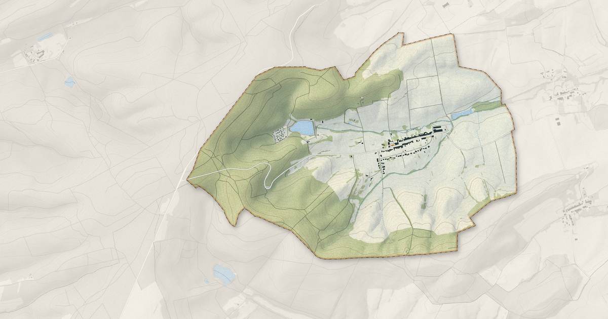 Portrait cartographique de Burtoncourt : relief, eau, forêts, bâti et voies, calculés à partir des données de l'IGN