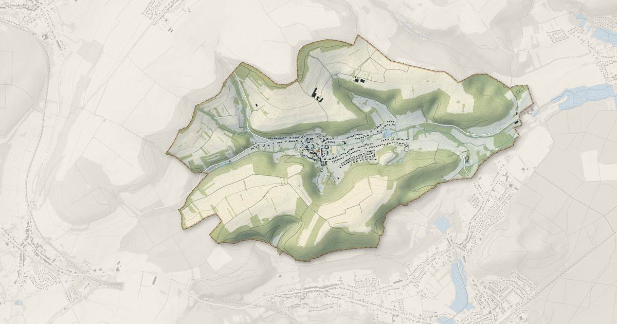 Portrait cartographique de Dalem : relief, eau, forêts, bâti et voies, calculés à partir des données de l'IGN
