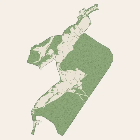 Falck : bois, forêts et landes