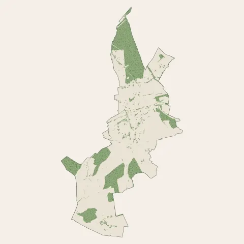 Faulquemont : bois, forêts et landes