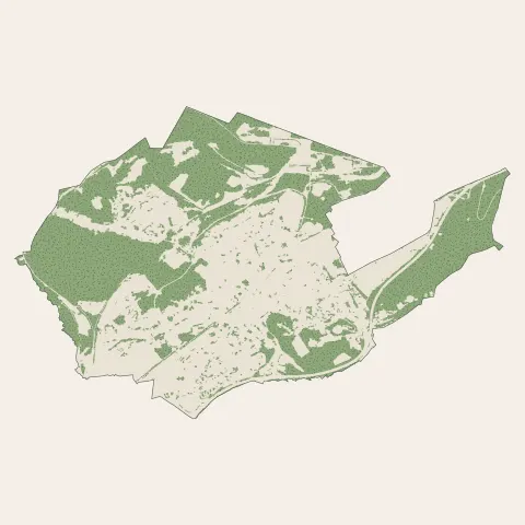 Forbach : bois, forêts et landes