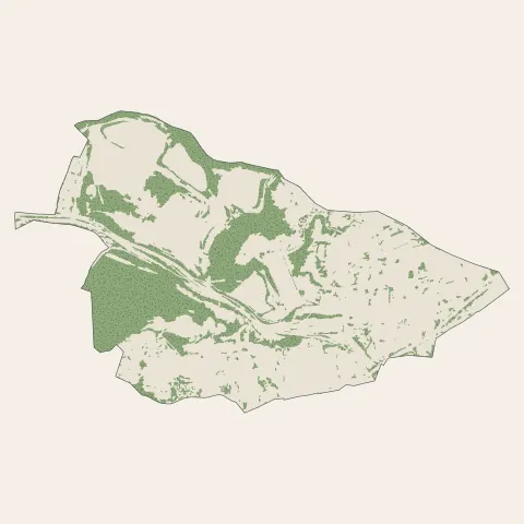 Freyming-Merlebach : bois, forêts et landes