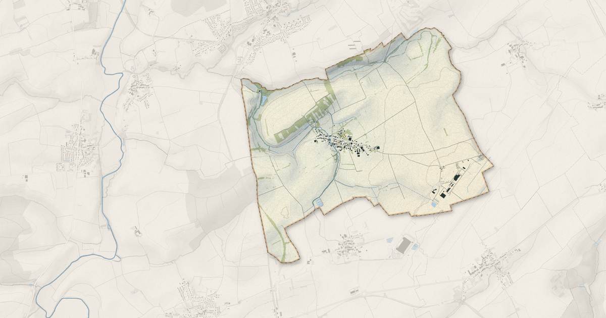 Portrait cartographique de Goin : relief, eau, forêts, bâti et voies, calculés à partir des données de l'IGN