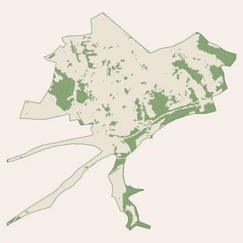 L'Hôpital : bois, forêts et landes