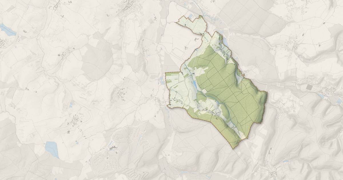 Portrait cartographique de Métairies-Saint-Quirin : relief, eau, forêts, bâti et voies, calculés à partir des données de l'IGN