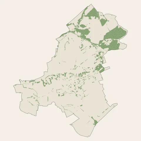 Morhange : bois, forêts et landes