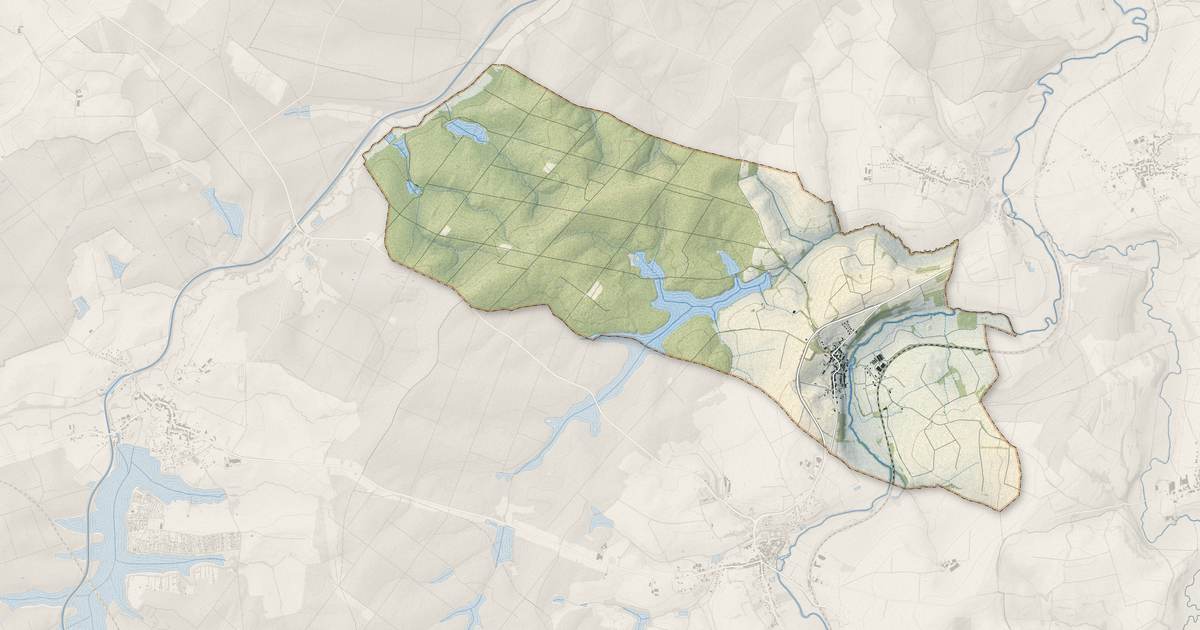 Portrait cartographique de Niederstinzel : relief, eau, forêts, bâti et voies, calculés à partir des données de l'IGN