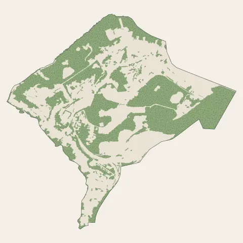Petite-Rosselle : bois, forêts et landes