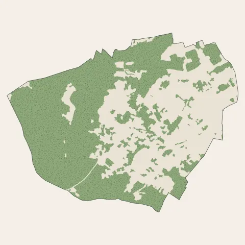 Plappeville : bois, forêts et landes