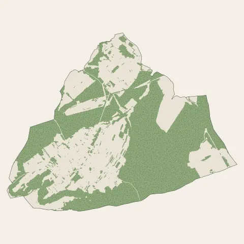 Porcelette : bois, forêts et landes
