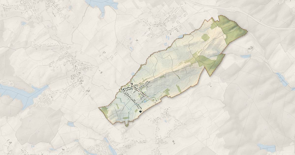 Portrait cartographique de Richeling : relief, eau, forêts, bâti et voies, calculés à partir des données de l'IGN