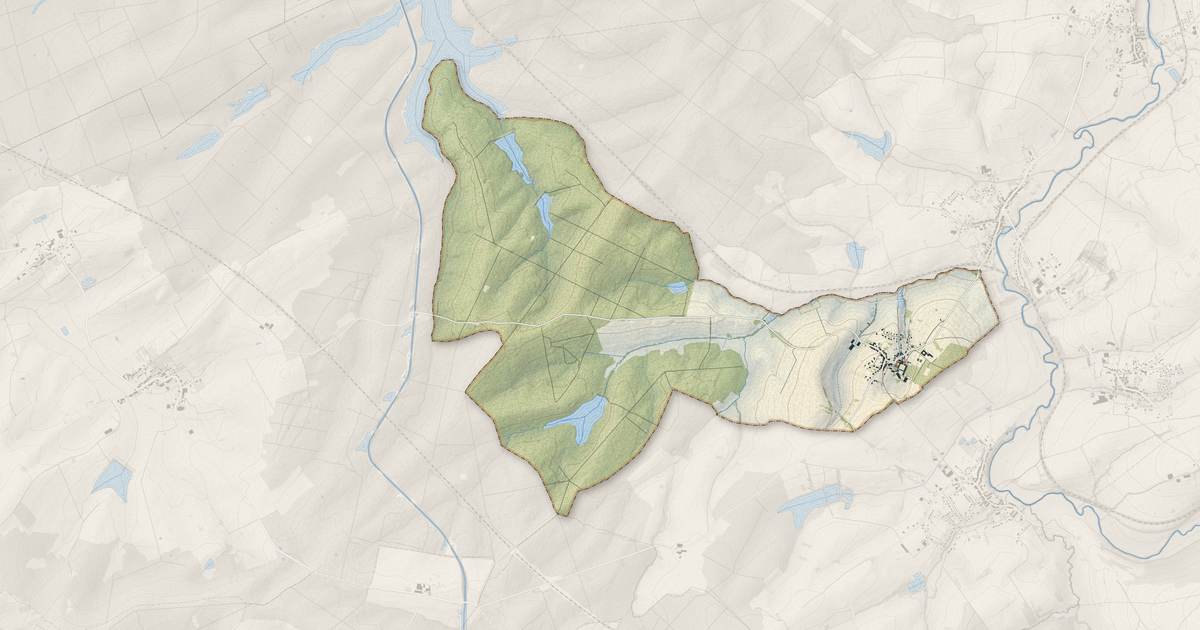 Portrait cartographique de Saint-Jean-de-Bassel : relief, eau, forêts, bâti et voies, calculés à partir des données de l'IGN