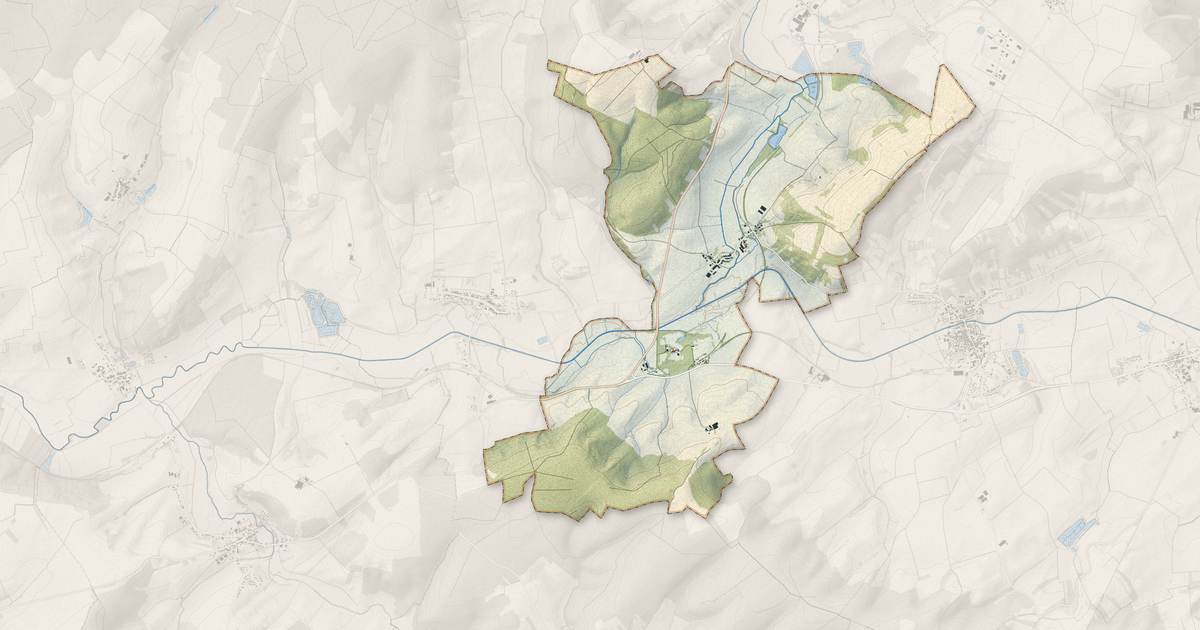 Portrait cartographique de Salonnes : relief, eau, forêts, bâti et voies, calculés à partir des données de l'IGN