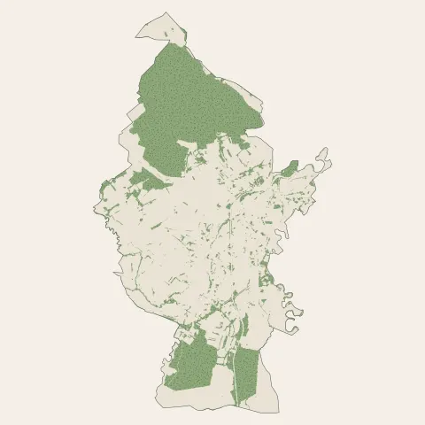 Sarralbe : bois, forêts et landes