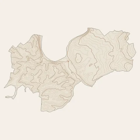 Sarreguemines : courbes de niveau