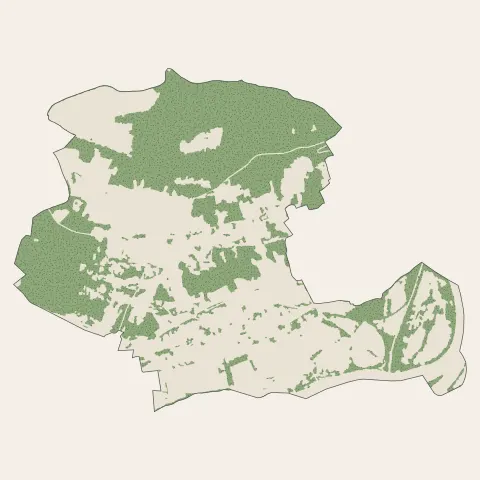 Scy-Chazelles : bois, forêts et landes