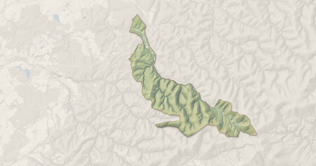 Portrait cartographique de Turquestein-Blancrupt : relief, eau, forêts, bâti et voies, calculés à partir des données de l'IGN