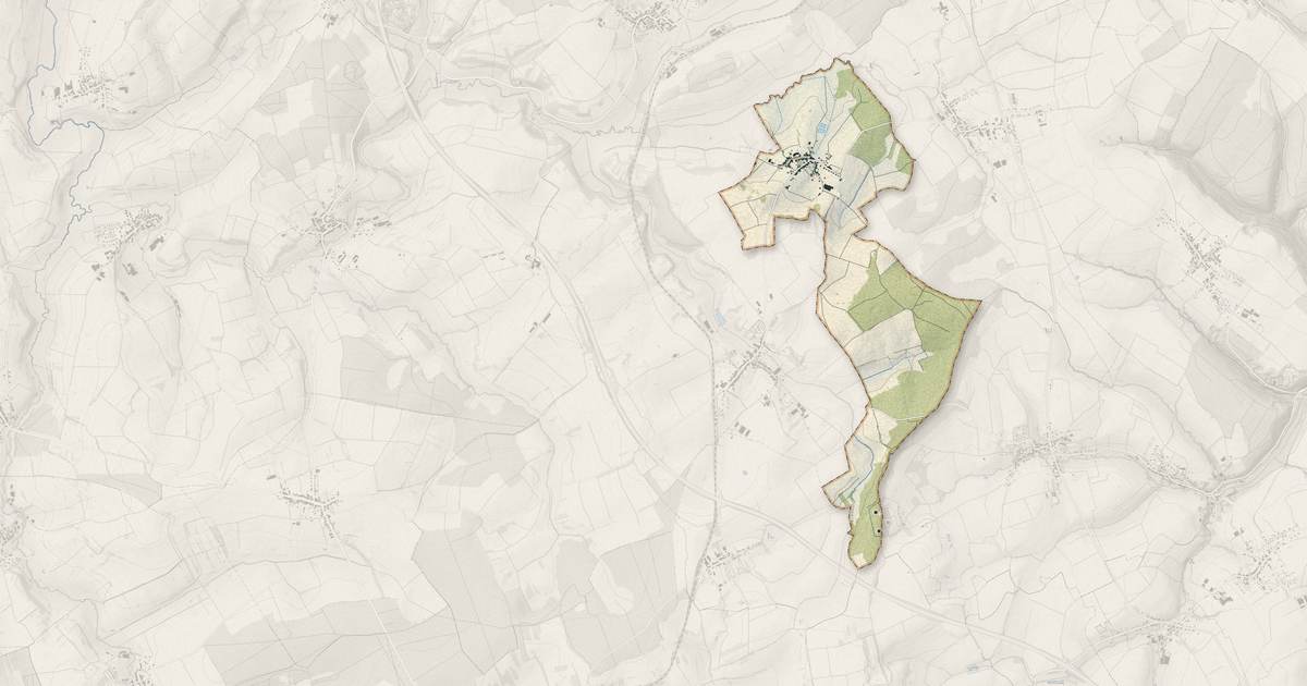 Portrait cartographique de Veckersviller : relief, eau, forêts, bâti et voies, calculés à partir des données de l'IGN