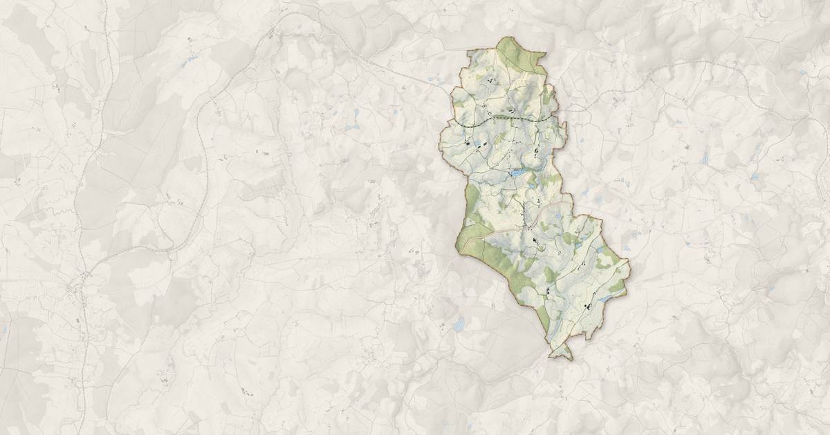 Portrait cartographique de Dommartin : relief, eau, forêts, bâti et voies, calculés à partir des données de l'IGN