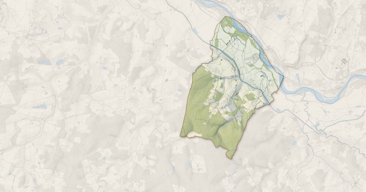 Portrait cartographique de Fleury-sur-Loire : relief, eau, forêts, bâti et voies, calculés à partir des données de l'IGN