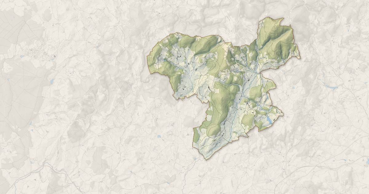 Portrait cartographique de Larochemillay : relief, eau, forêts, bâti et voies, calculés à partir des données de l'IGN