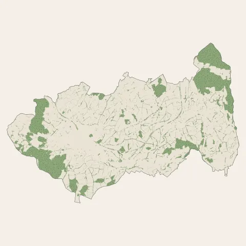 Luzy : bois, forêts et landes