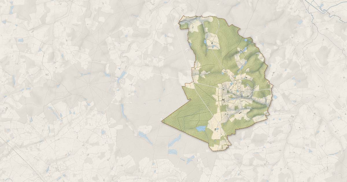 Portrait cartographique de Neuville-lès-Decize : relief, eau, forêts, bâti et voies, calculés à partir des données de l'IGN