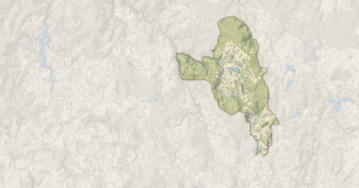 Portrait cartographique de Saint-Brisson : relief, eau, forêts, bâti et voies, calculés à partir des données de l'IGN