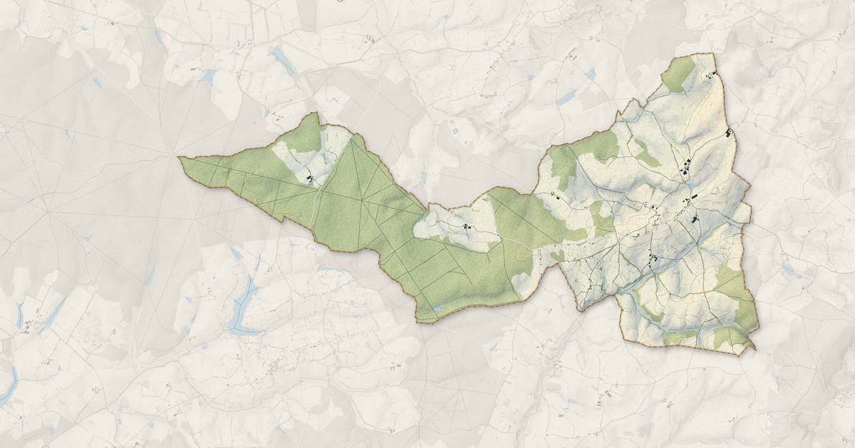 Portrait cartographique de Savigny-Poil-Fol : relief, eau, forêts, bâti et voies, calculés à partir des données de l'IGN