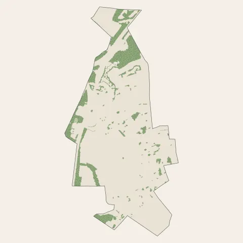 Bauvin : bois, forêts et landes
