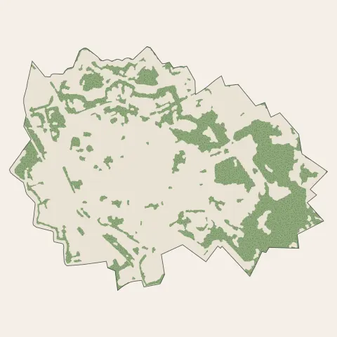Bergues : bois, forêts et landes