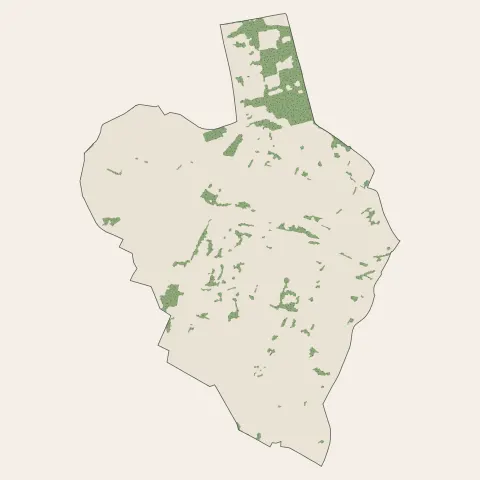 Beuvrages : bois, forêts et landes