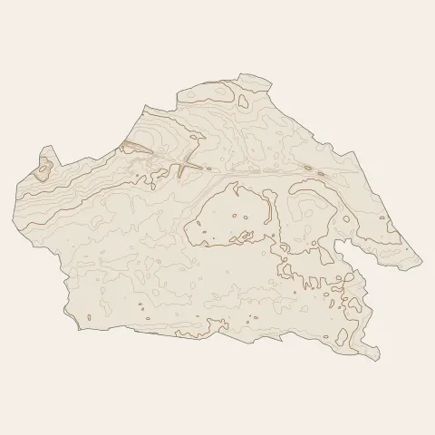 Beuvry-la-Forêt : courbes de niveau