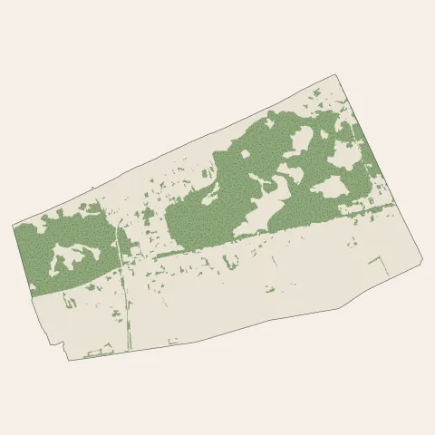 Bray-Dunes : bois, forêts et landes