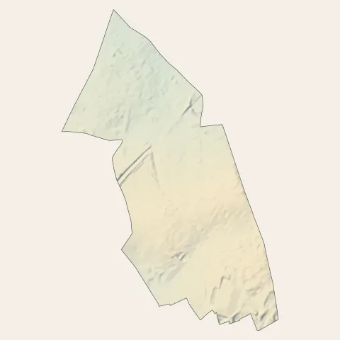 Faches-Thumesnil : relief