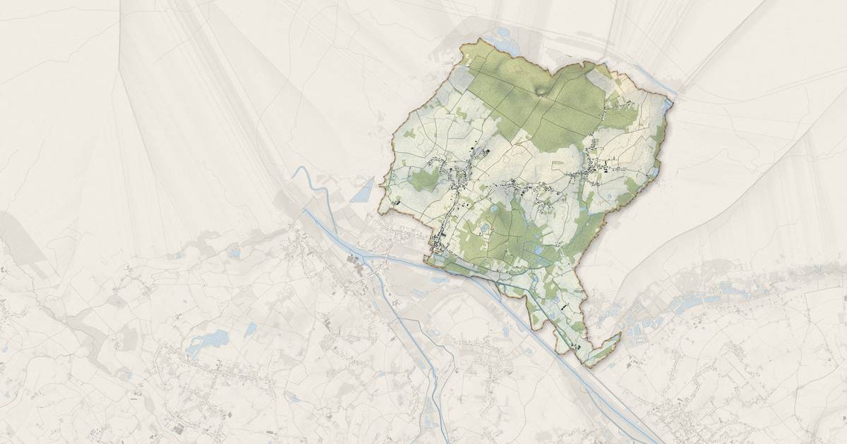Portrait cartographique de Flines-lès-Mortagne : relief, eau, forêts, bâti et voies, calculés à partir des données de l'IGN