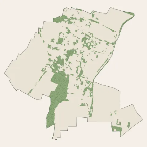 Lewarde : bois, forêts et landes