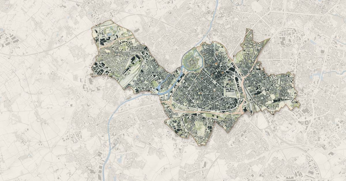 Portrait cartographique de Lille : relief, eau, forêts, bâti et voies, calculés à partir des données de l'IGN