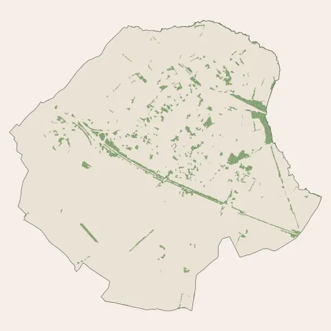 Orchies : bois, forêts et landes