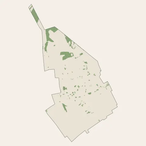 Provin : bois, forêts et landes