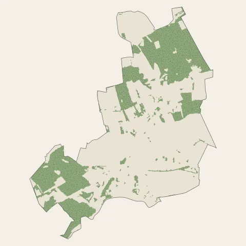 Râches : bois, forêts et landes