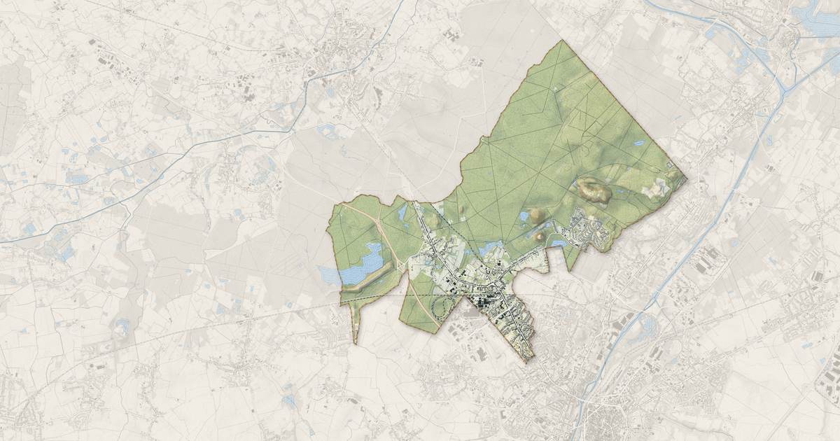Portrait cartographique de Raismes : relief, eau, forêts, bâti et voies, calculés à partir des données de l'IGN