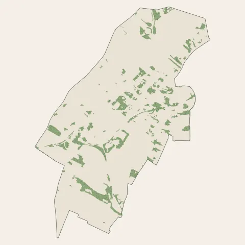 Waziers : bois, forêts et landes