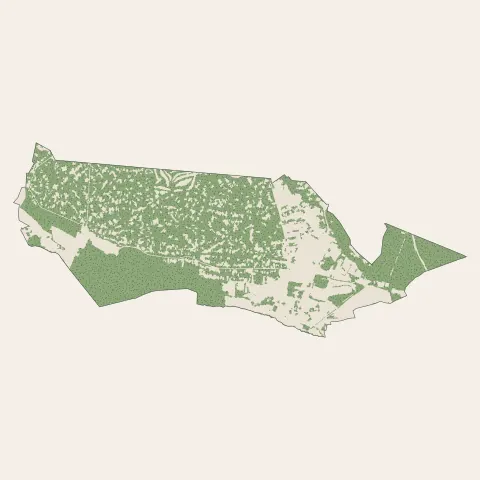 Lamorlaye : bois, forêts et landes